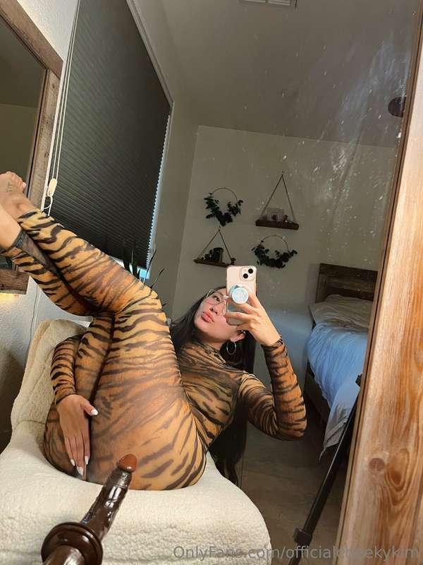 Tigers are some pretty kitties 🐈 But check your DMs tonight ..