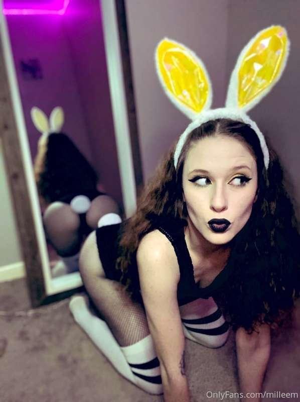 it’s your favorite bunny 😇🐰