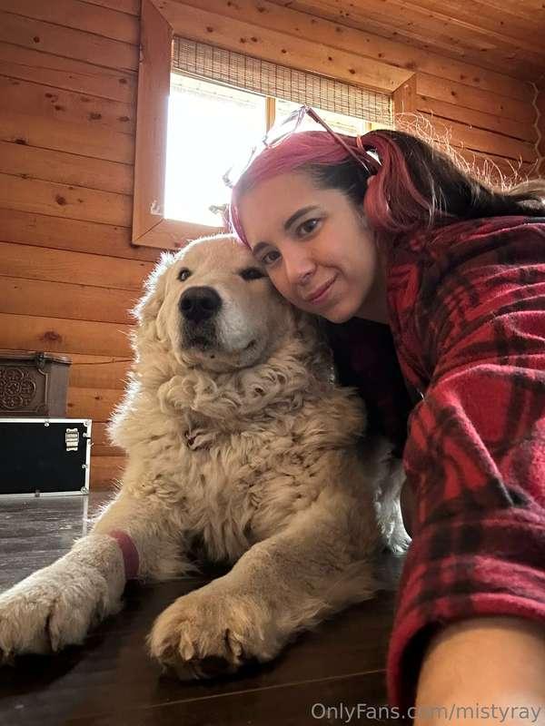 As some of you know from social media, I adopted a new dog t..