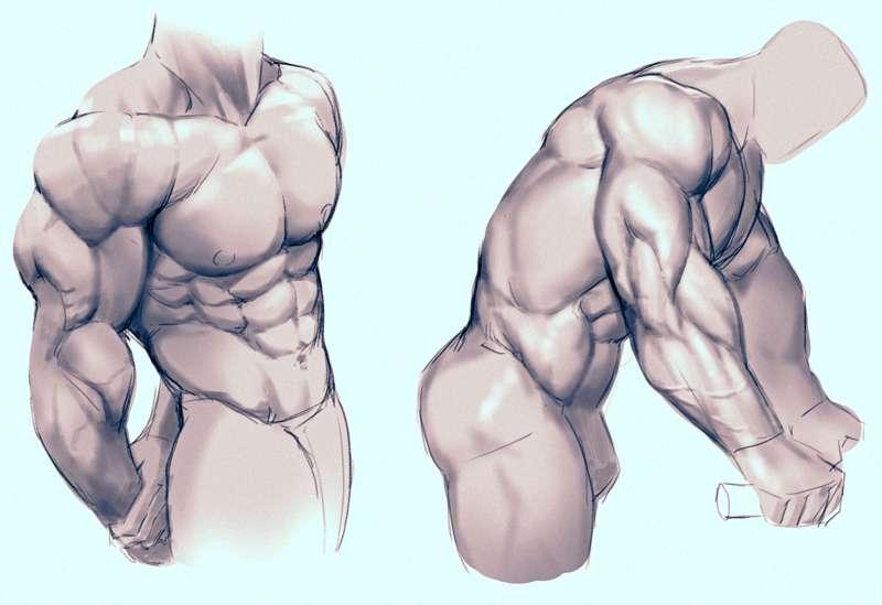 Body Study