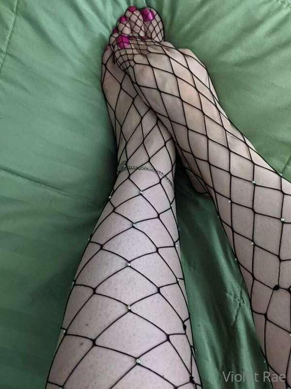 naughty_kitten84 image #2