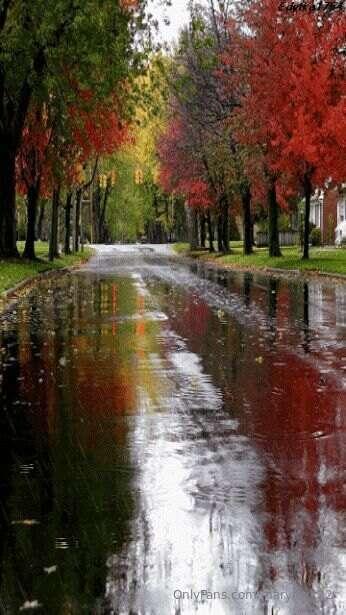 It's raining in my city and I love it, my soul soars. ☔🌧️🥰Ha..