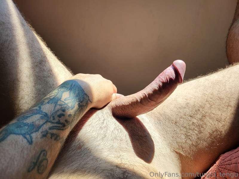 Some mid-day horny basking in glorious sunlight.