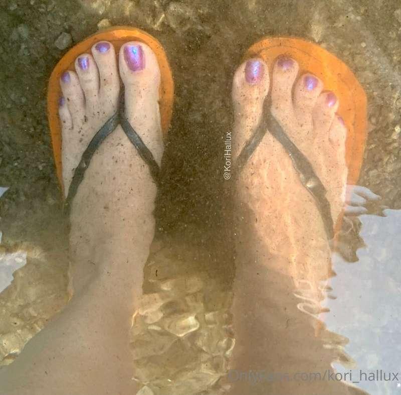 kori_hallux image #1