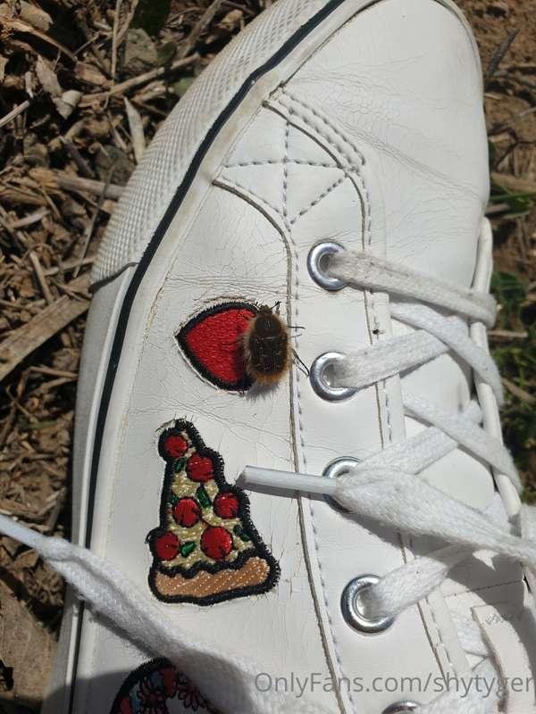 Alot of you commented on my Shoes from my post yesterday so ..