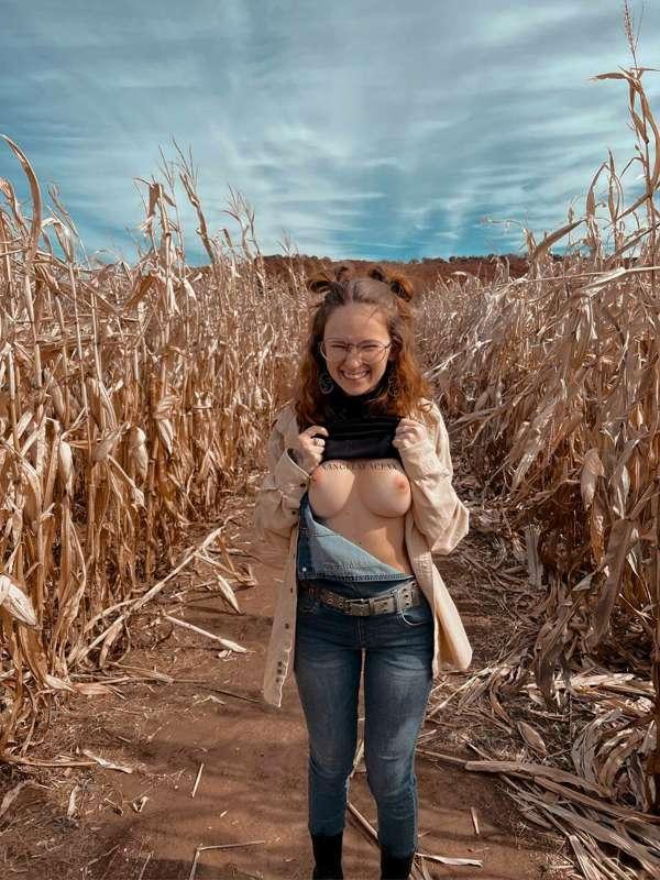 what if the scarecrow sees!