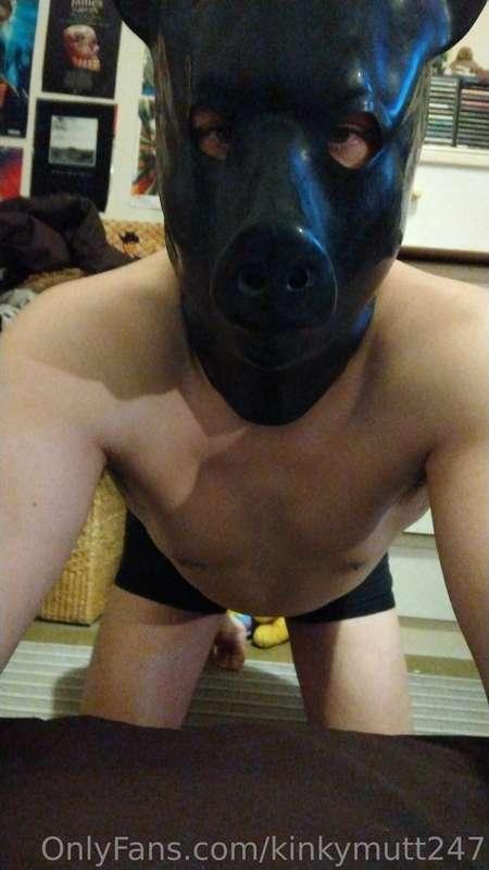 kinkymutt247 image #0