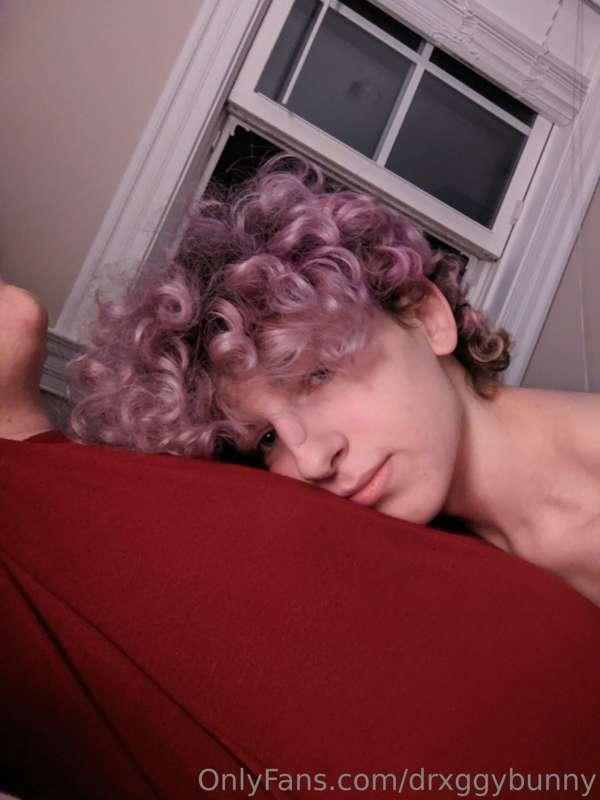 drxggybunny image #0