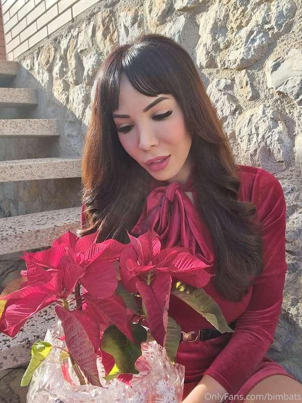 ☀️☀️☀️🌡🎄🎁🎁🎁