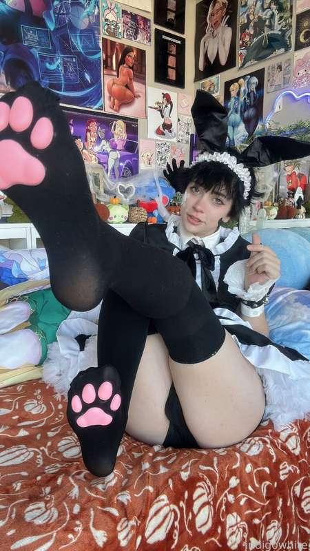 indigowhite image #56