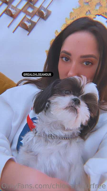 Yesterday was National Pet Day.  🐶🐶🐶
Do you have any pets ?