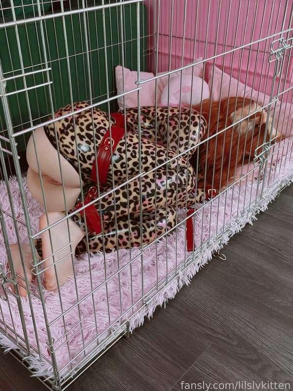 lilslvkitten image #3