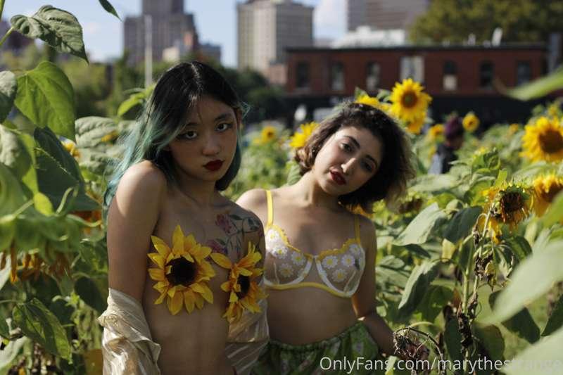 love these sunflower pasties and @pcola