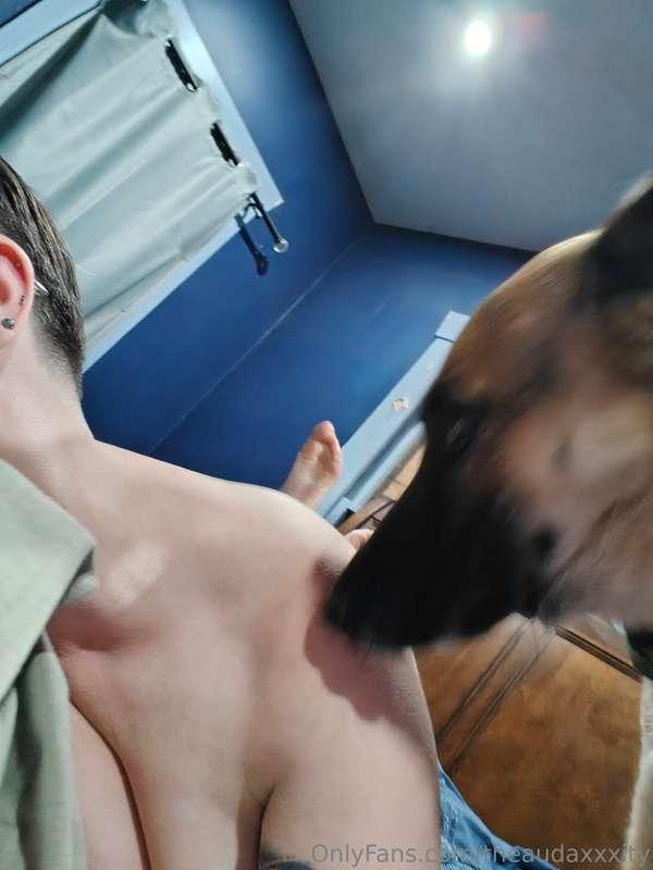 The doggos are just so demanding when I'm trying to be a slu..