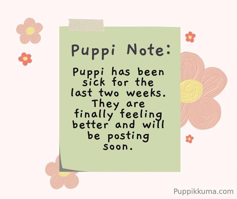 🐶 Puppi Note 🐶

Sorry for being MIA guys! I’ve been so sick ..