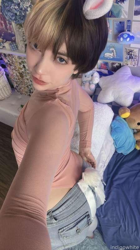 indigowhite image #40