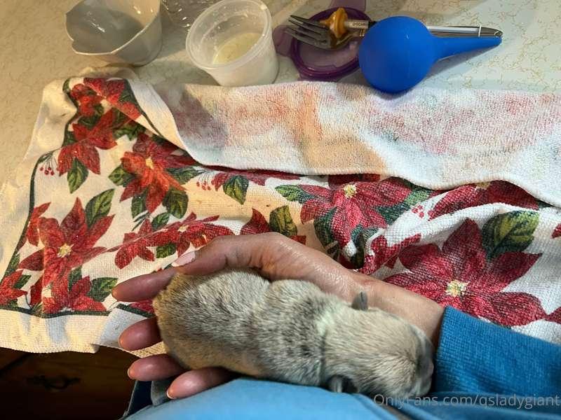 Hope the holiday was fabulous for everyone!! I have a dentis..