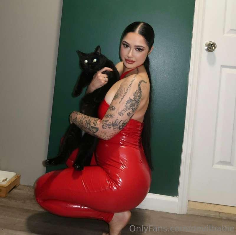 🐈‍⬛🐈‍⬛🐈‍⬛