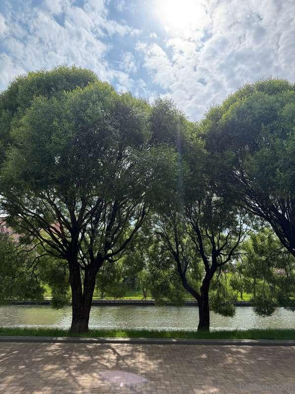 Looking up at the sky, listening to the birds, feeling the g..