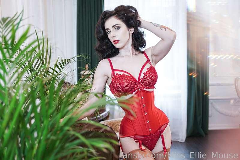 miss_ellie_mouse image #0