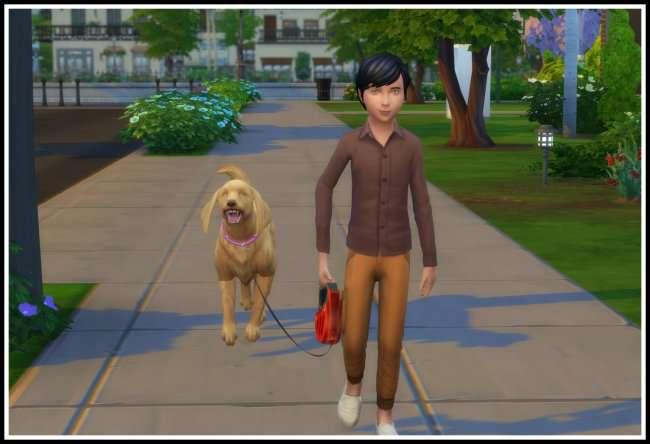 New Mod "Kids can go for a Walk with Dogs"