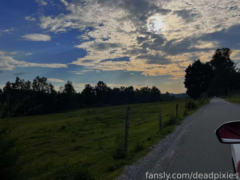 deadpixies image #23