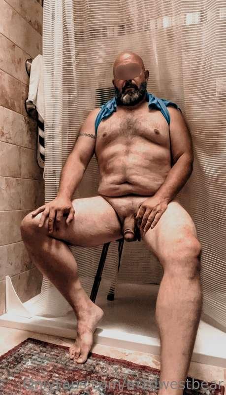 m1dwestbear image #4
