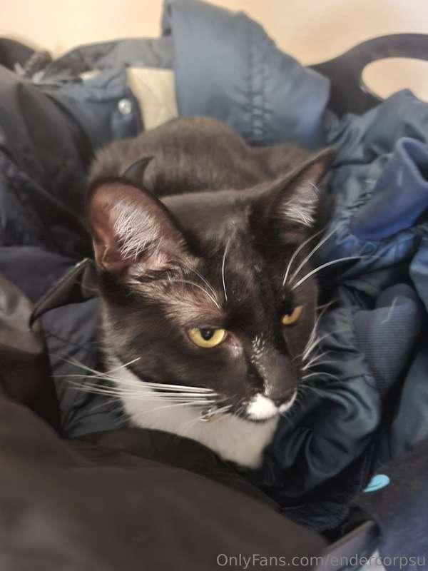 PUSSY FLASH! Careful, it bites 🤭