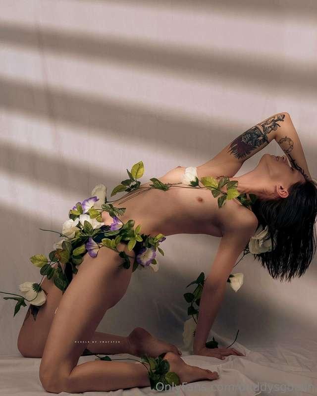 🌸🌺🌻🌼