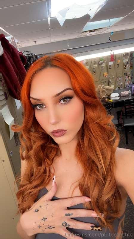 plutocoochie image #0