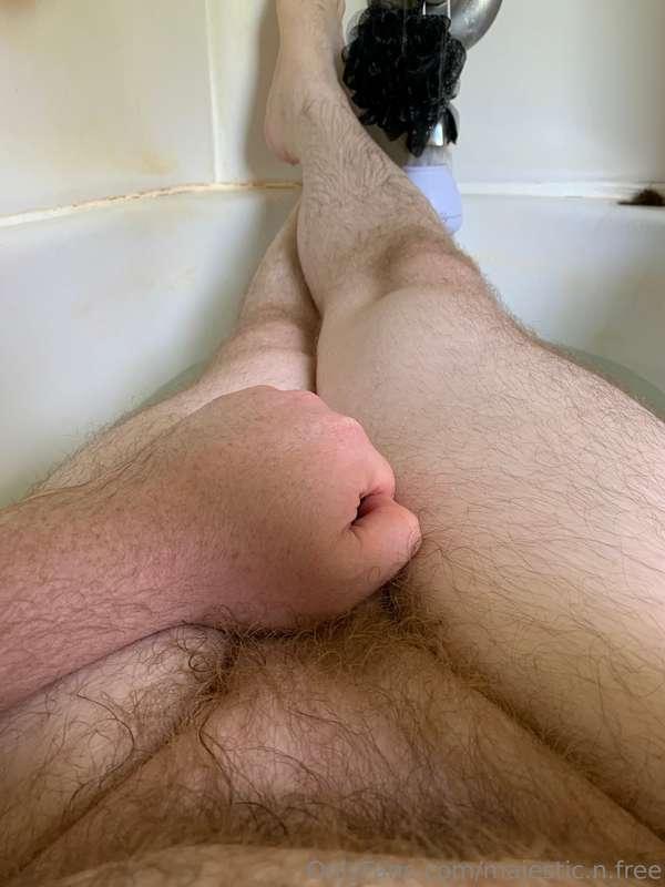 majestic.n.free image #0