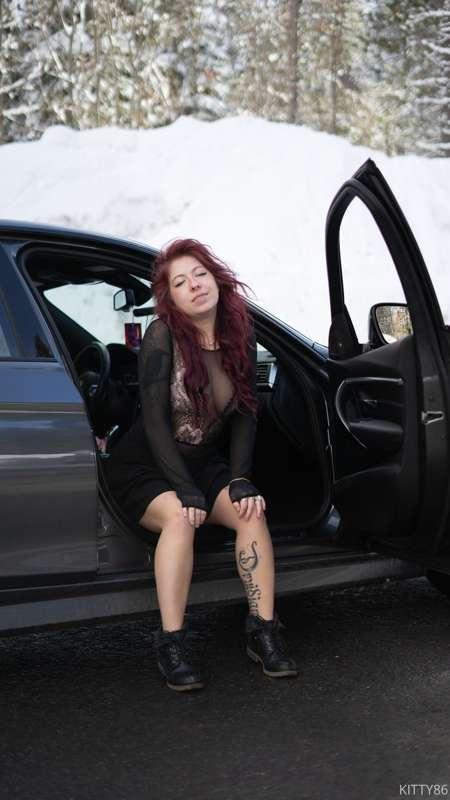 duchess_kitten image #4