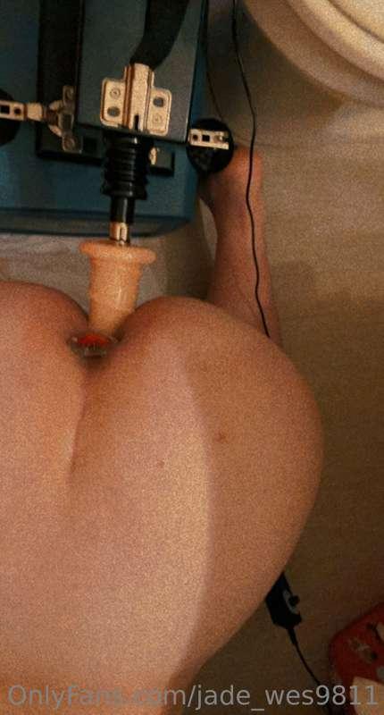 jade_wes9811 image #0