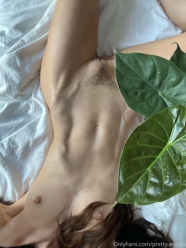linalin image #1