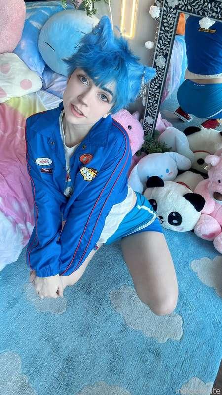 indigowhite image #252