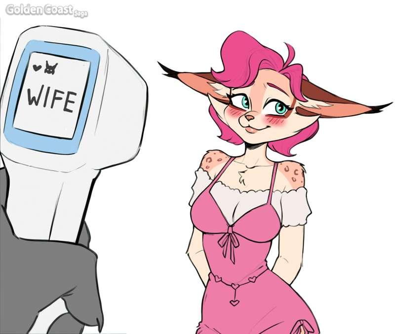 Search for the best wife