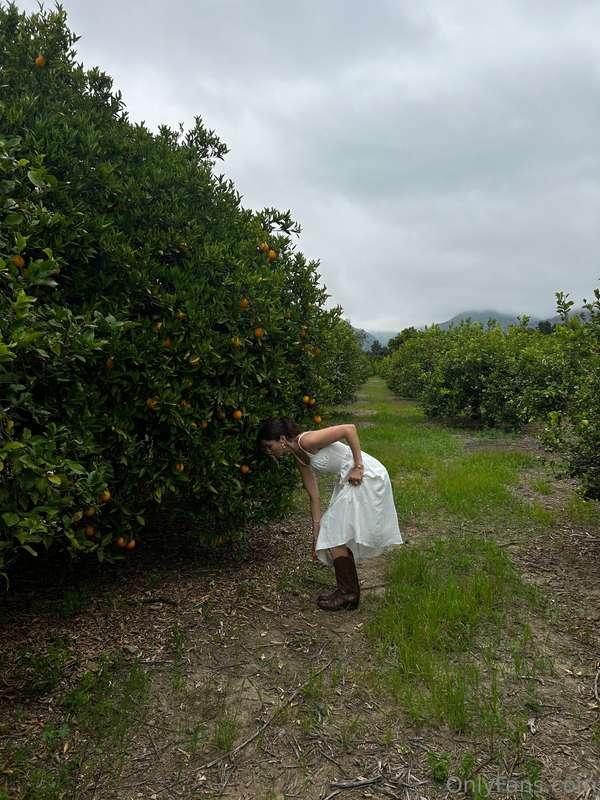 Bending over to grab you an orange 🙈