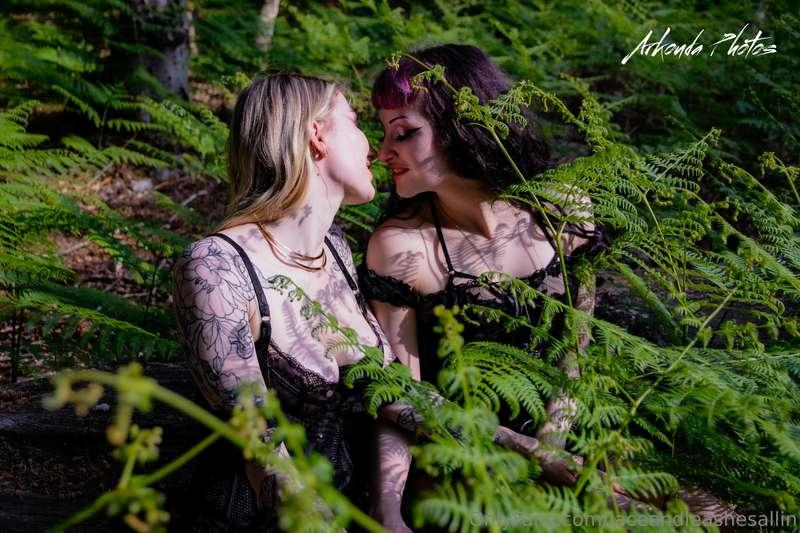 laceandleashesallin image #1