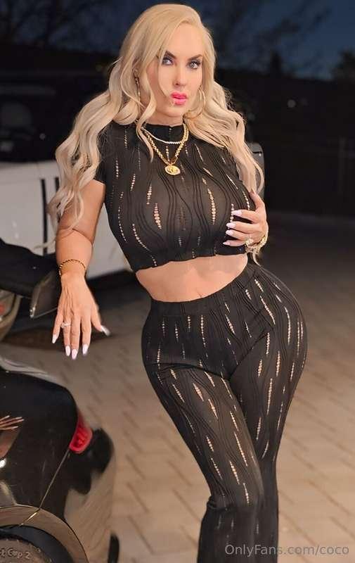 coco image #2