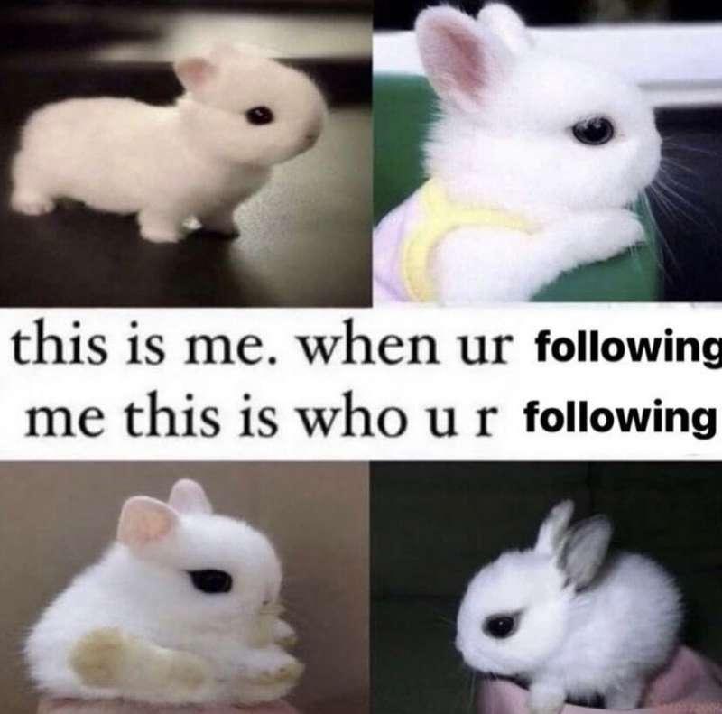 egirlhikari image #0