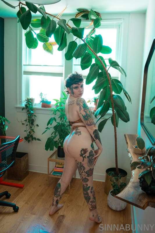 sinnabunny.premium image #3