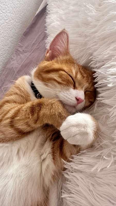 baby_misa image #3