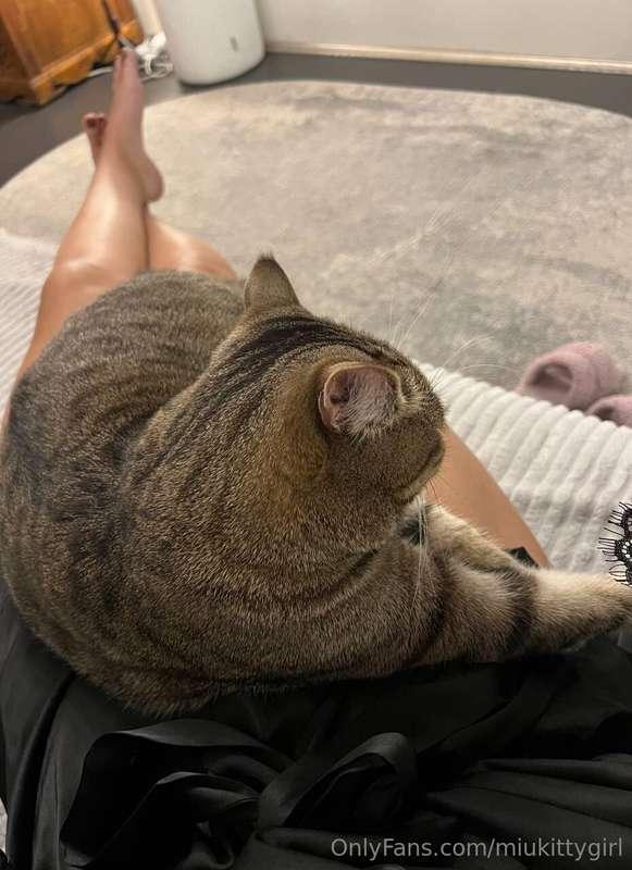 A cozy evening with my furry friend❤️‍🔥