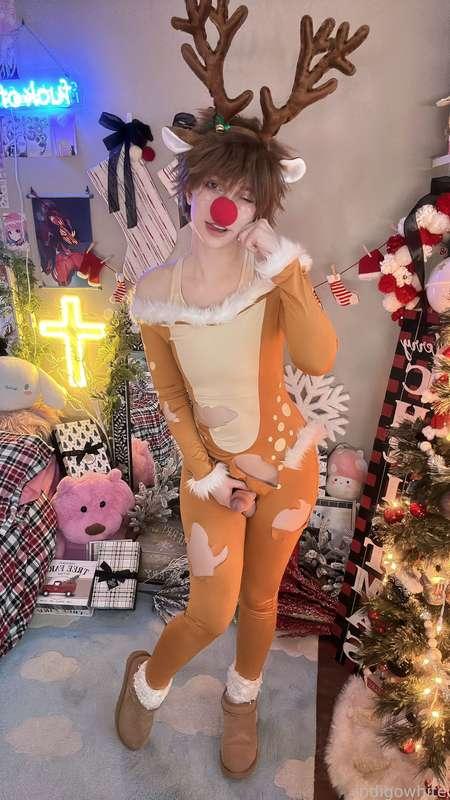 indigowhite image #35