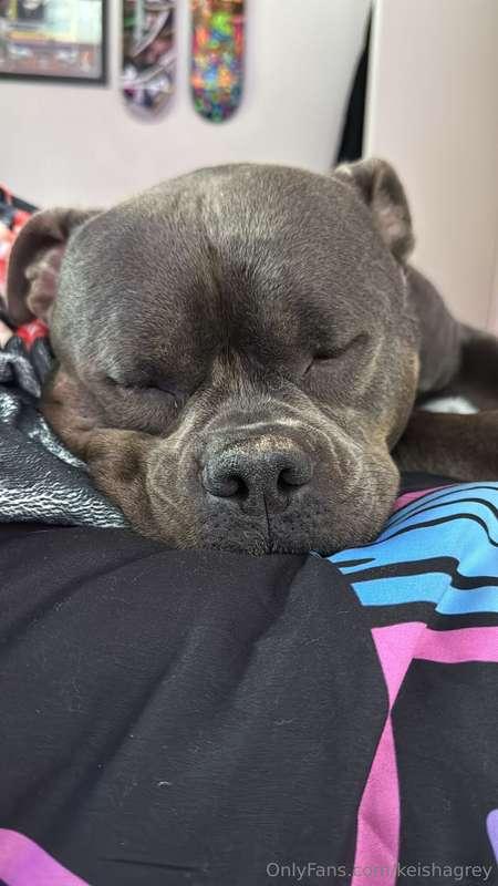 My sweet Lenny ❤️My animals mean the world to me and when th..