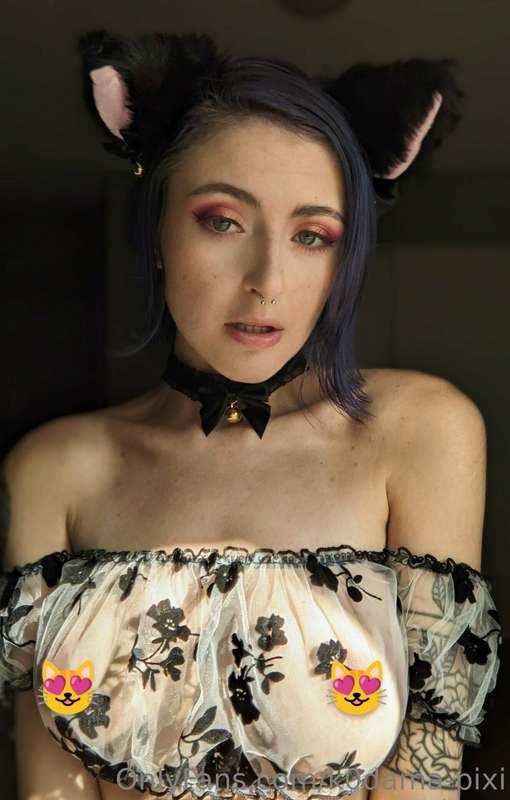 k0dama-pixi image #0