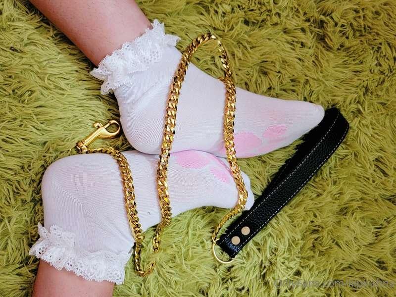 Kitty needs a walk🐾
