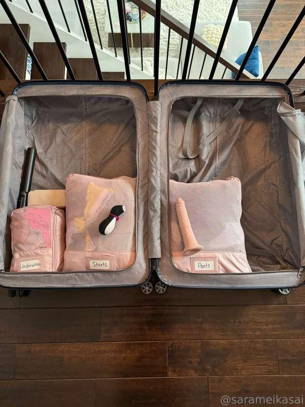 Packing only the essentials: underwear, shirts, pants, vibra..