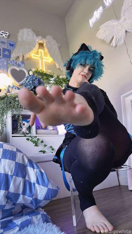 indigowhite image #106