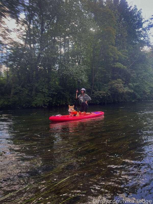 nika_lodge image #3